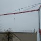828-RBI-Euro-Grue-2